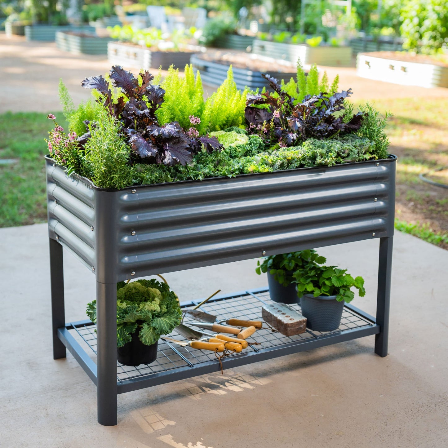 Long wooden raised garden bed planter with rich stain, filled with green herbs and vegetables along a patio