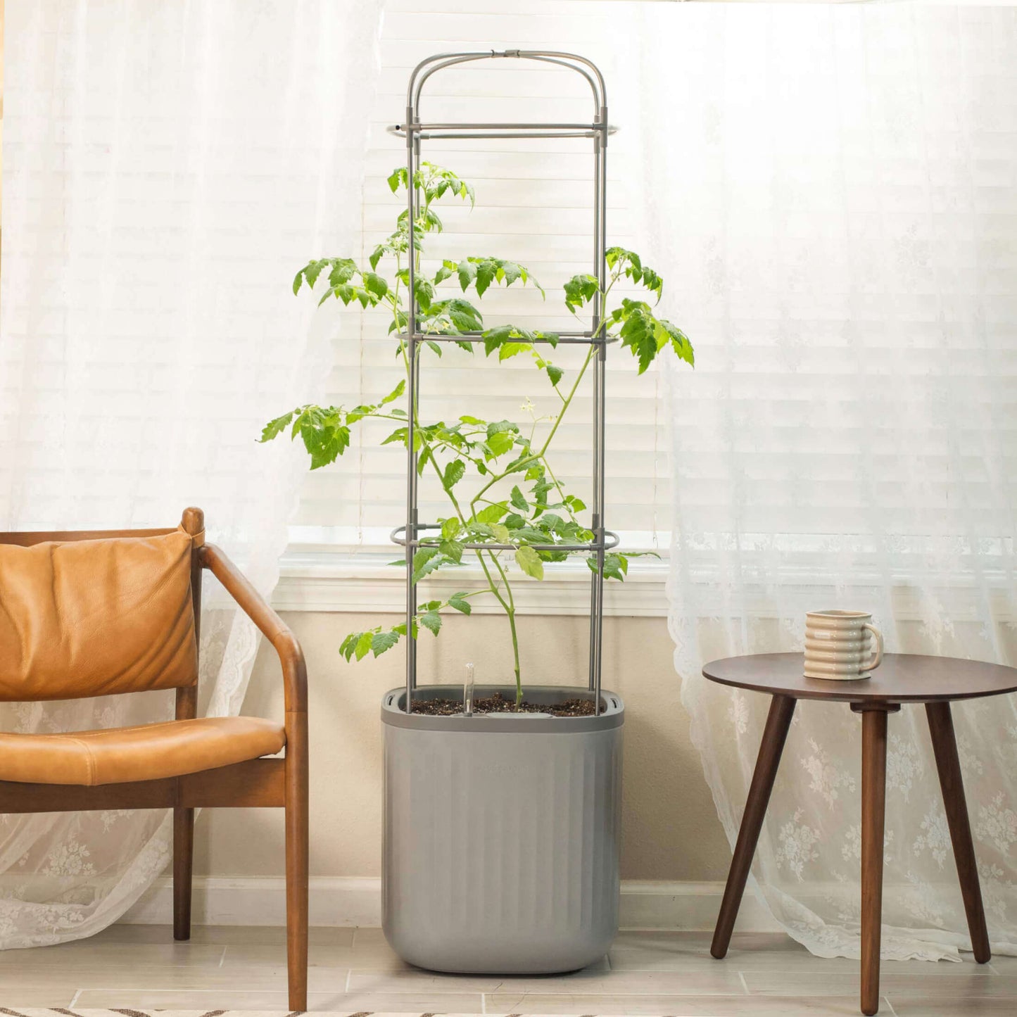 Self-watering tomato planter with tall trellis and lush tomato plants on a sunny patio
