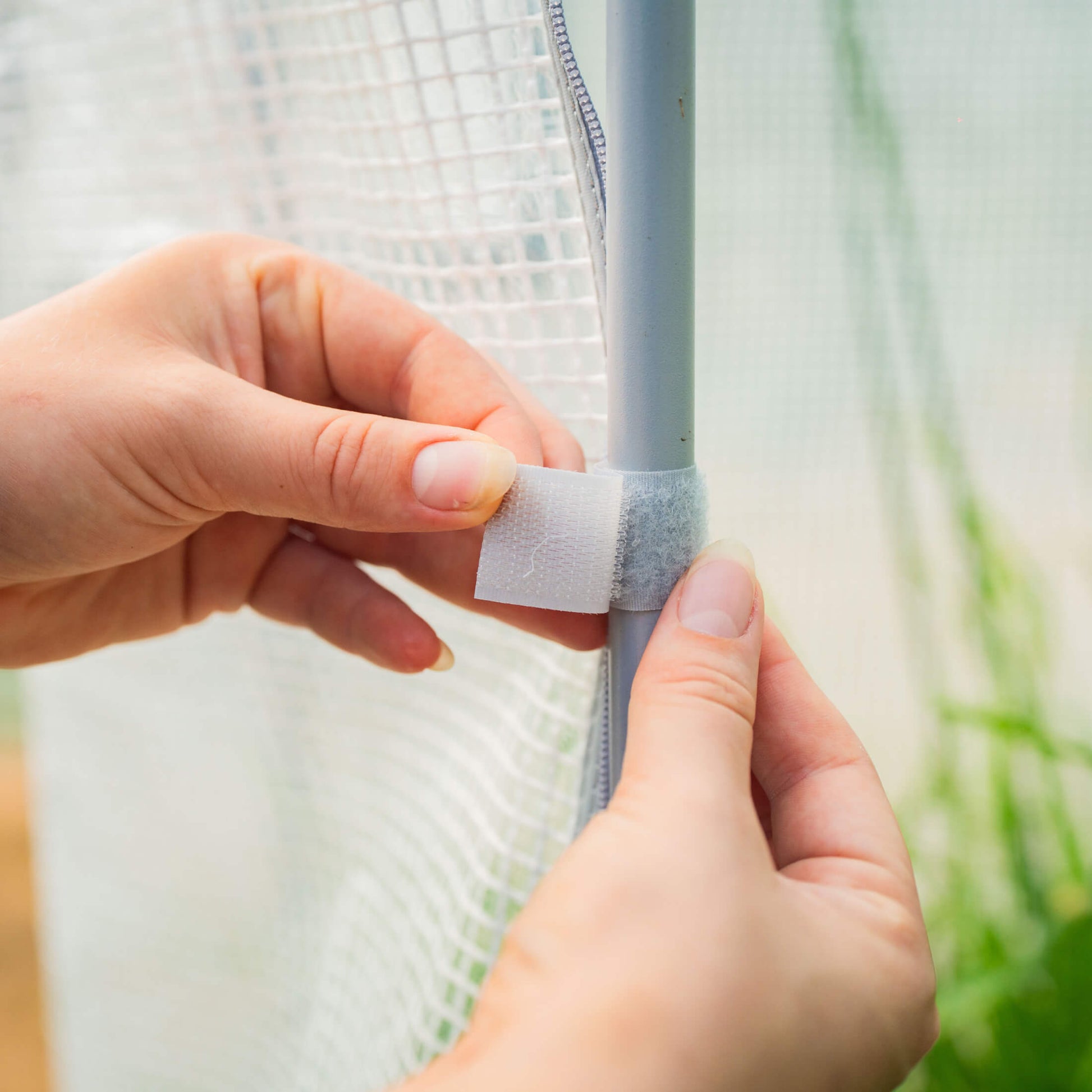 Clear frost protection cover with built-in trellis supporting climbing plants in a raised garden bed