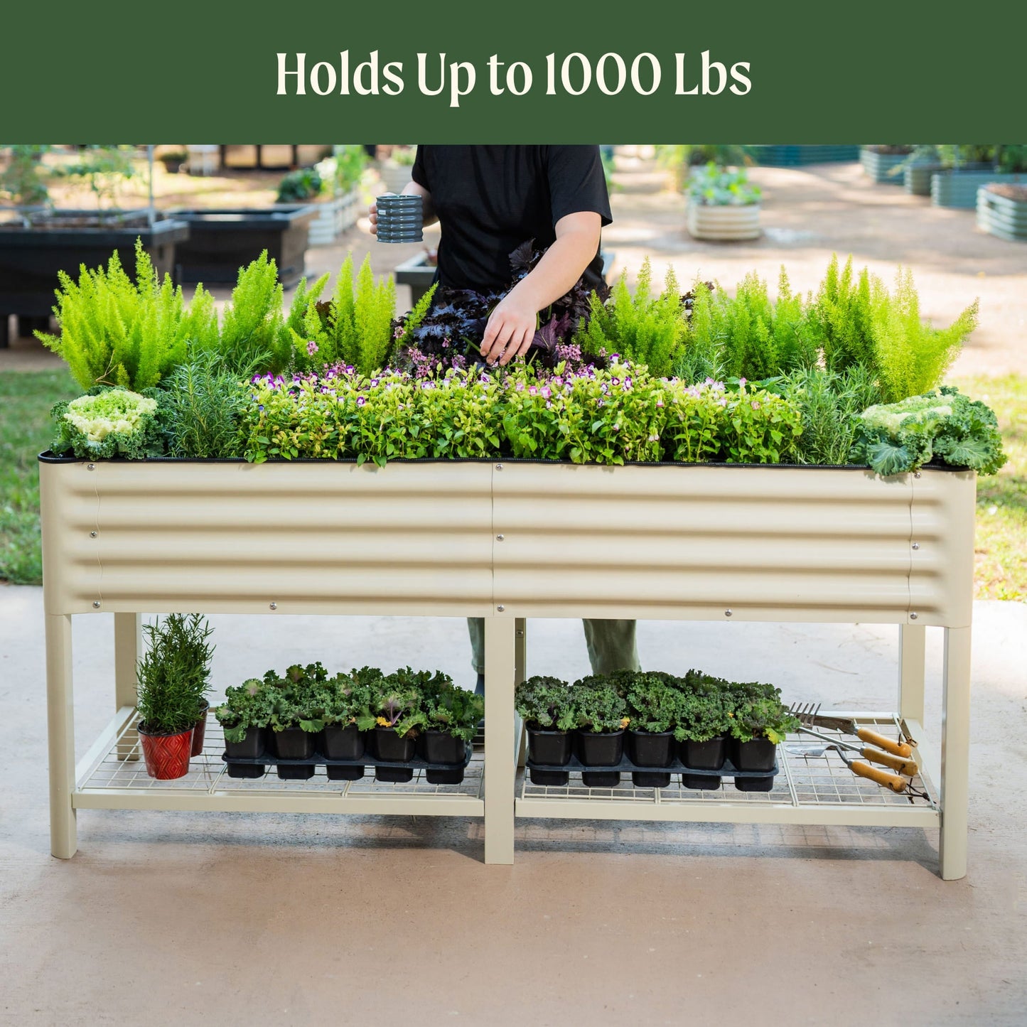 Wooden 2x6 raised garden bed planter filled with soil and young vegetable seedlings on a patio