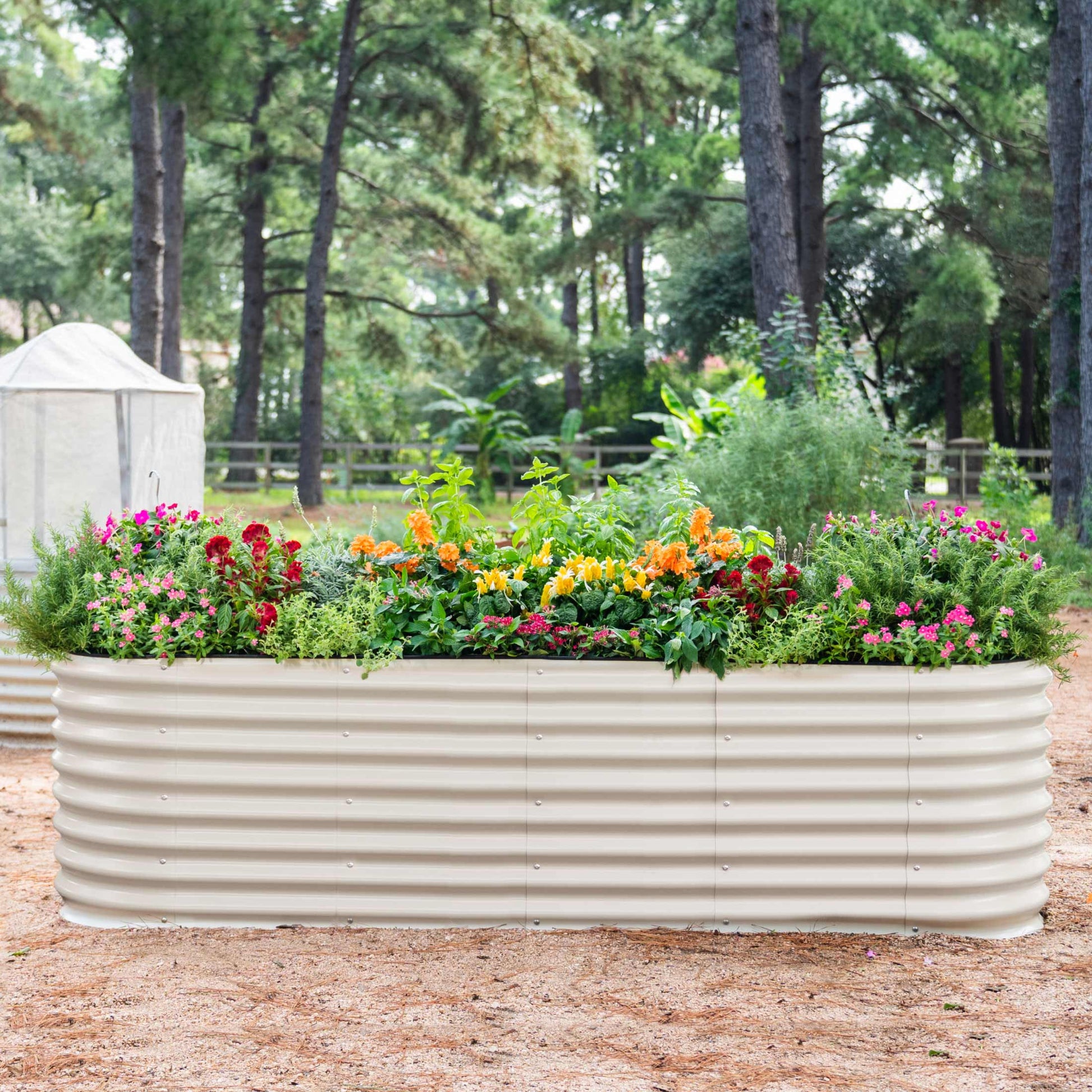 Modular metal raised garden beds assembled in a backyard with lush vegetables and flowers