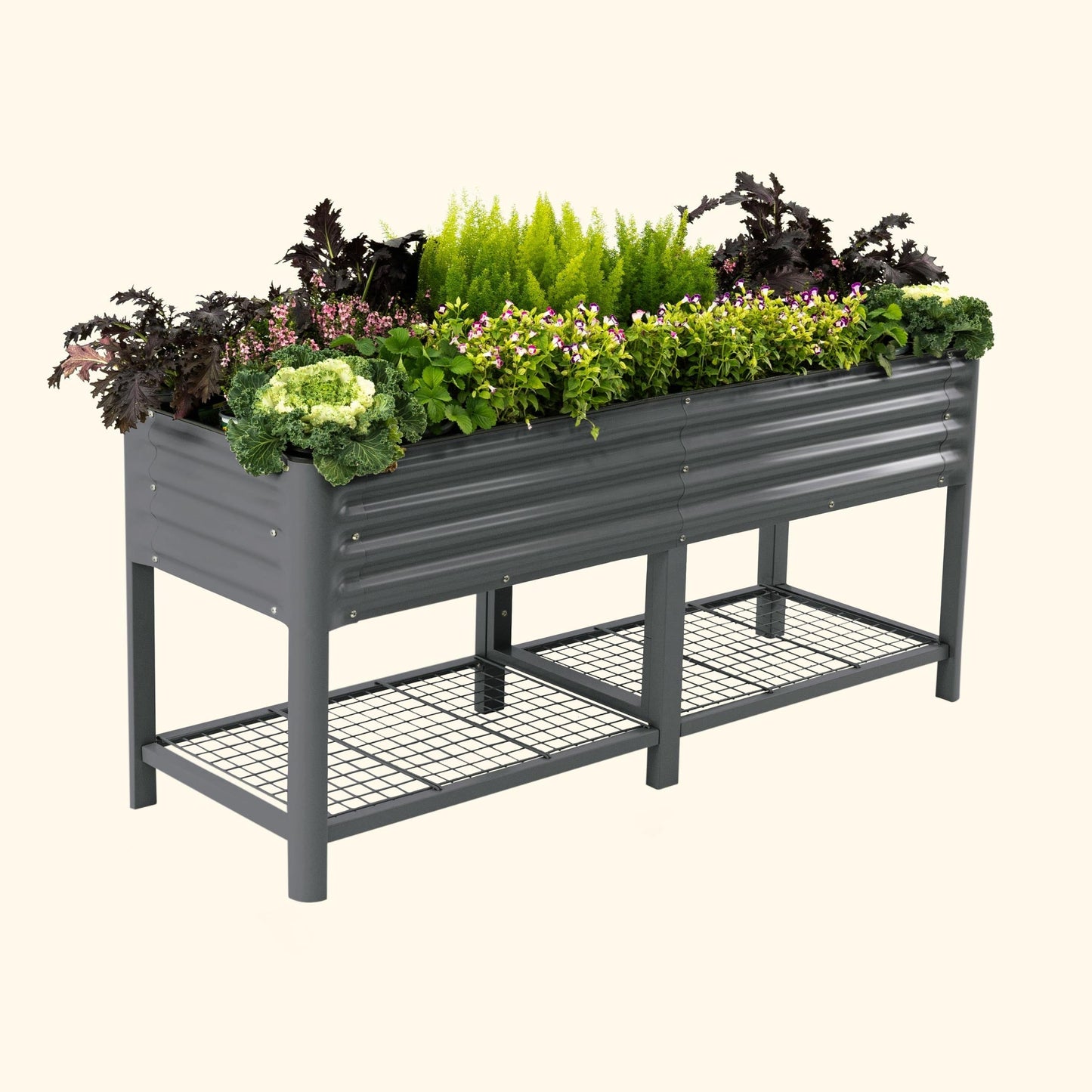 Wooden raised garden bed planter 2x6 ft filled with soil and young vegetable seedlings against backyard fence