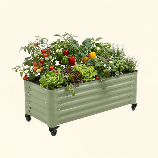 Raised wooden garden bed 1.75x4 feet with fresh soil and small green herbs sprouting along edge