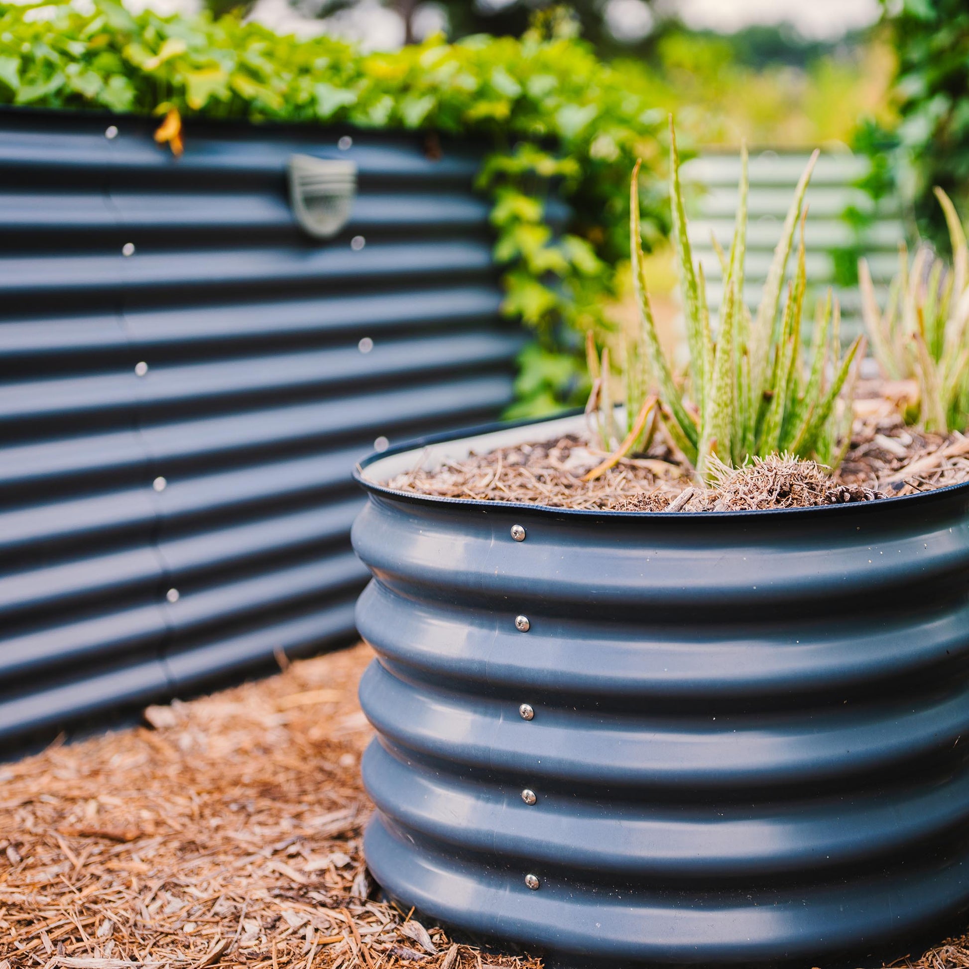 Extra-tall modular metal raised garden bed assembled in backyard with various herbs and vegetables growing