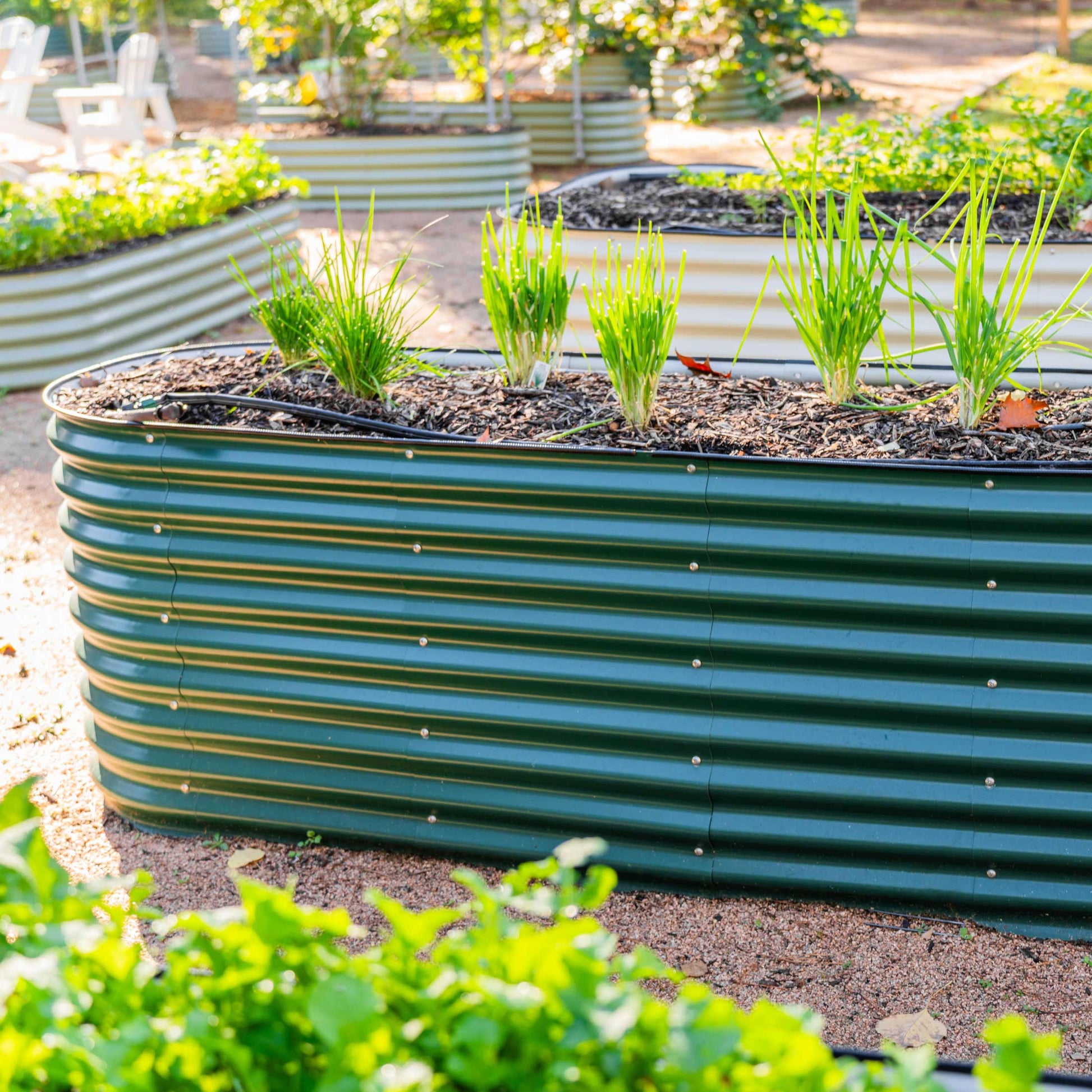 Extra-tall modular metal raised garden bed assembled on patio with lush herbs and vegetables