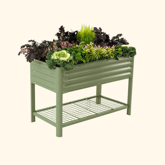 Wooden raised garden bed planter 2x4 feet filled with leafy vegetables and flowers on a patio