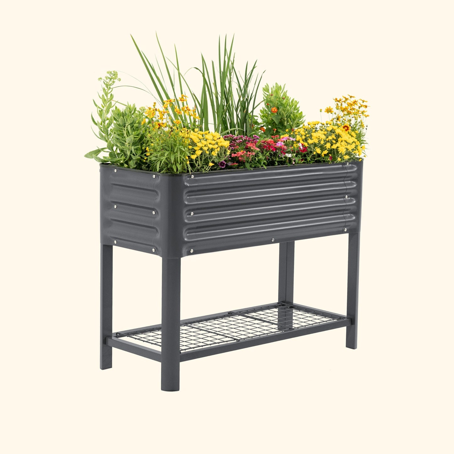 Slim elevated wooden garden bed 1.5' x 3.5' with raised soil, corner supports, and growing herbs