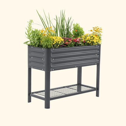 Slim elevated wooden garden bed 1.5' x 3.5' with raised soil, corner supports, and growing herbs