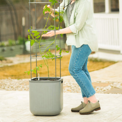 Self-watering tomato planter with integrated trellis and drainage reservoir for healthy vertical growth