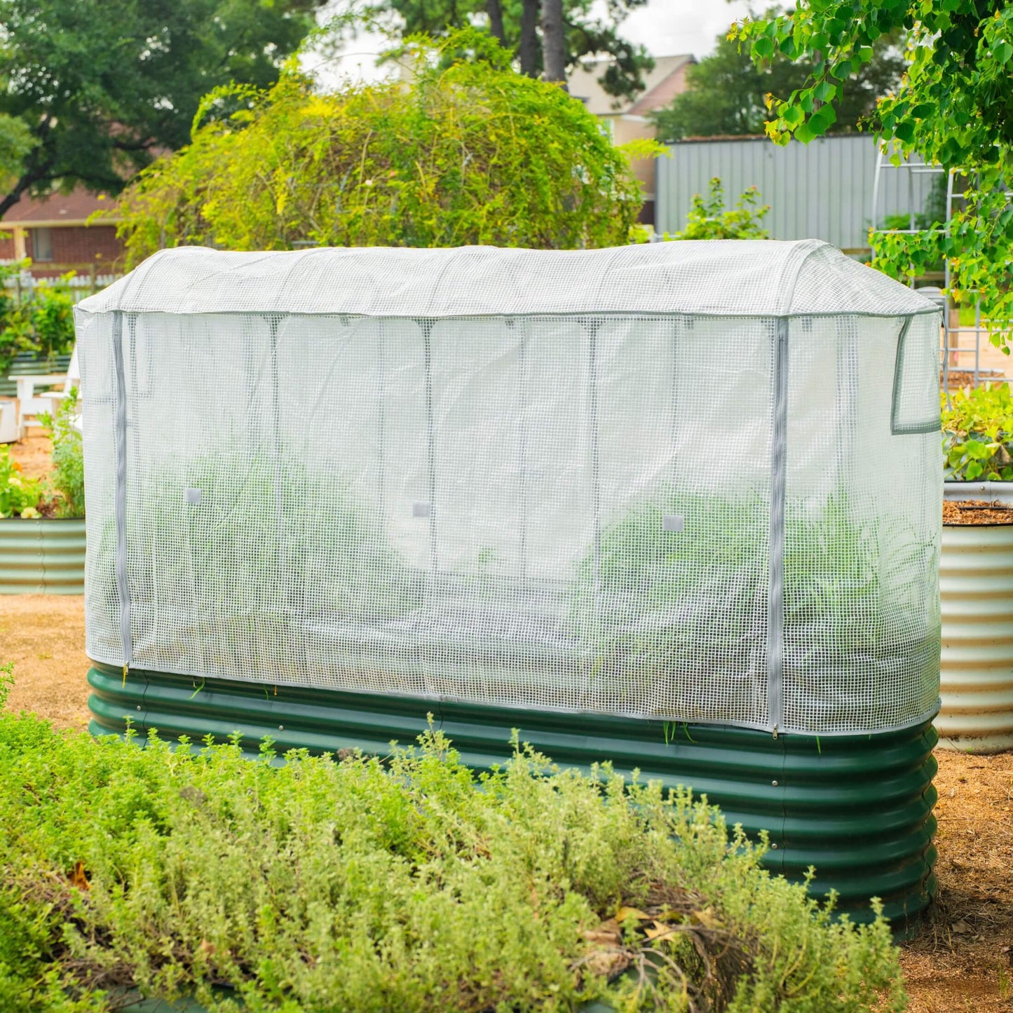 Garden frost protection cover with built-in trellis supporting climbing plants and insulating fabric