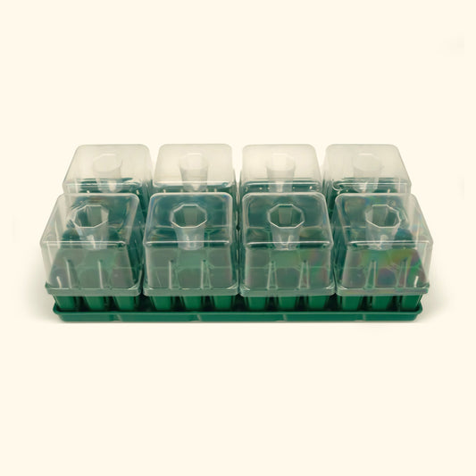 10×20 inch seed starting tray kit with clear plastic humidity dome and multiple cell inserts for seedlings