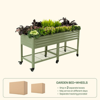 Long wooden raised garden bed planter with soil and leafy green vegetables growing inside