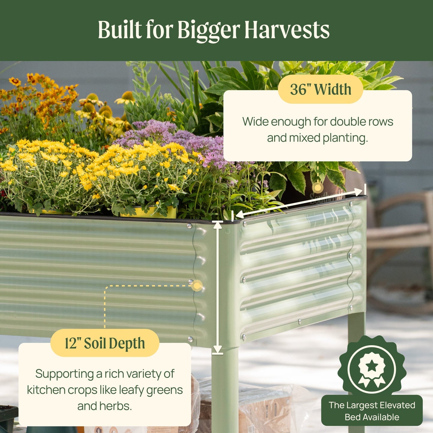 Raised wooden garden bed 3x8 feet with sturdy slatted sides filled with soil and young vegetable seedlings