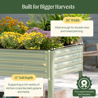Raised wooden garden bed 3x8 feet with sturdy slatted sides filled with soil and young vegetable seedlings