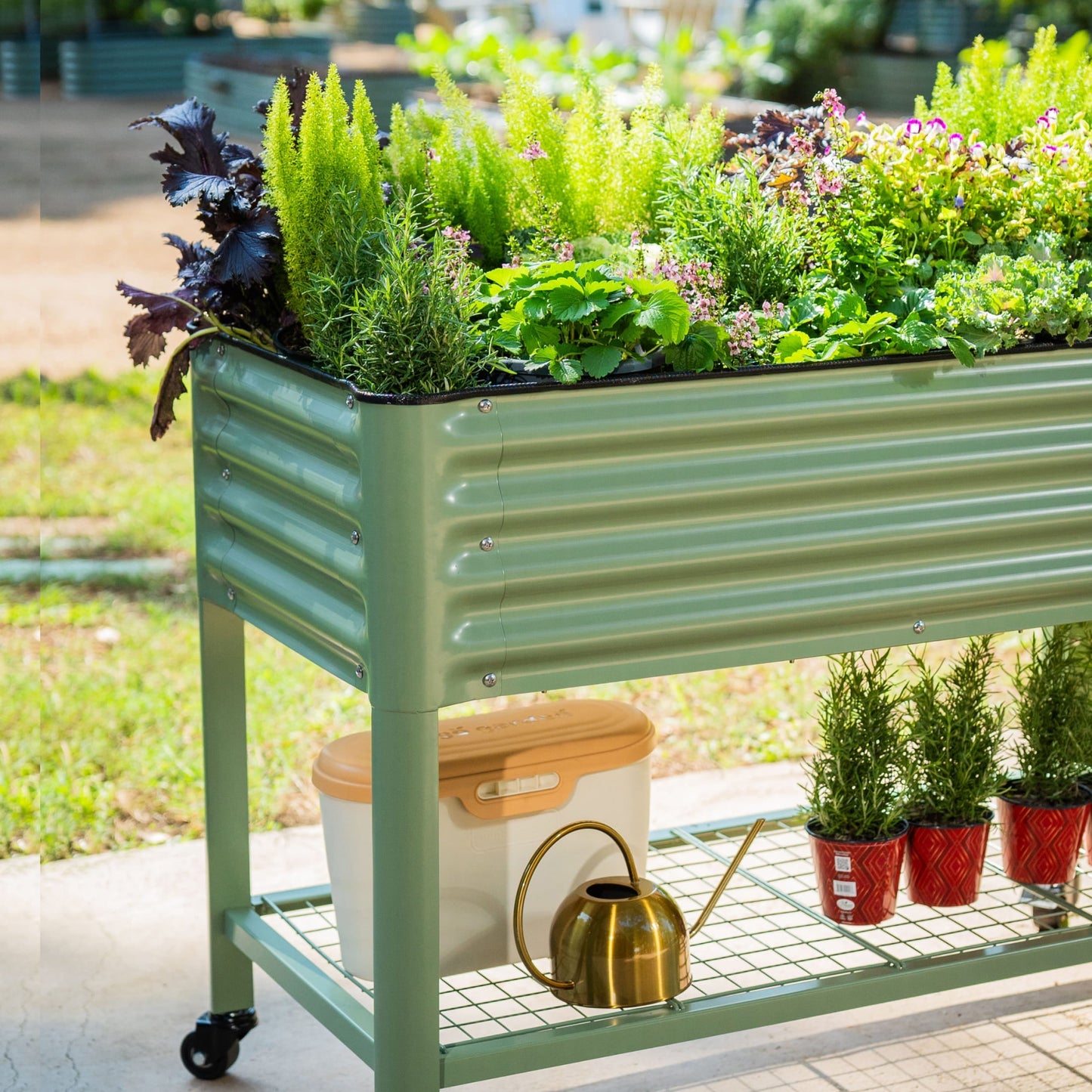 Wooden raised garden bed planter 2x6 ft with slatted sides filled with soil and young vegetable seedlings