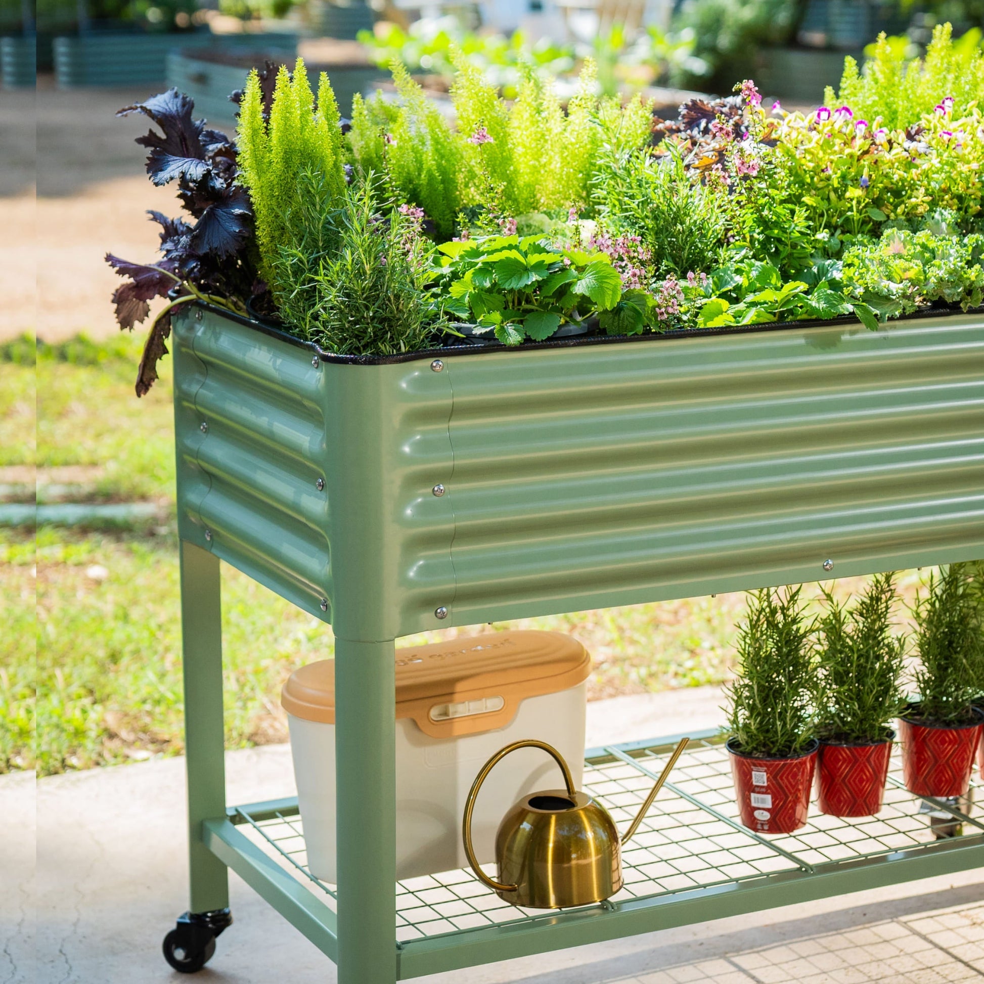 Wooden raised garden bed planter 2x6 ft with slatted sides filled with soil and young vegetable seedlings