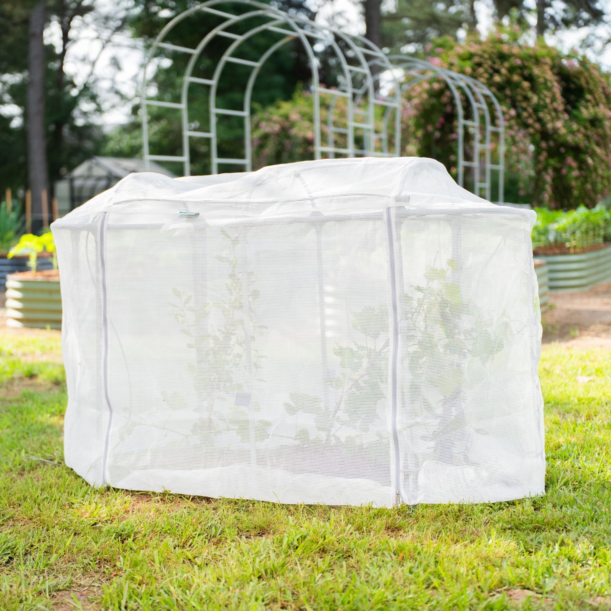 Protective ventilated mesh cover draped over garden bed to keep pests out while allowing airflow