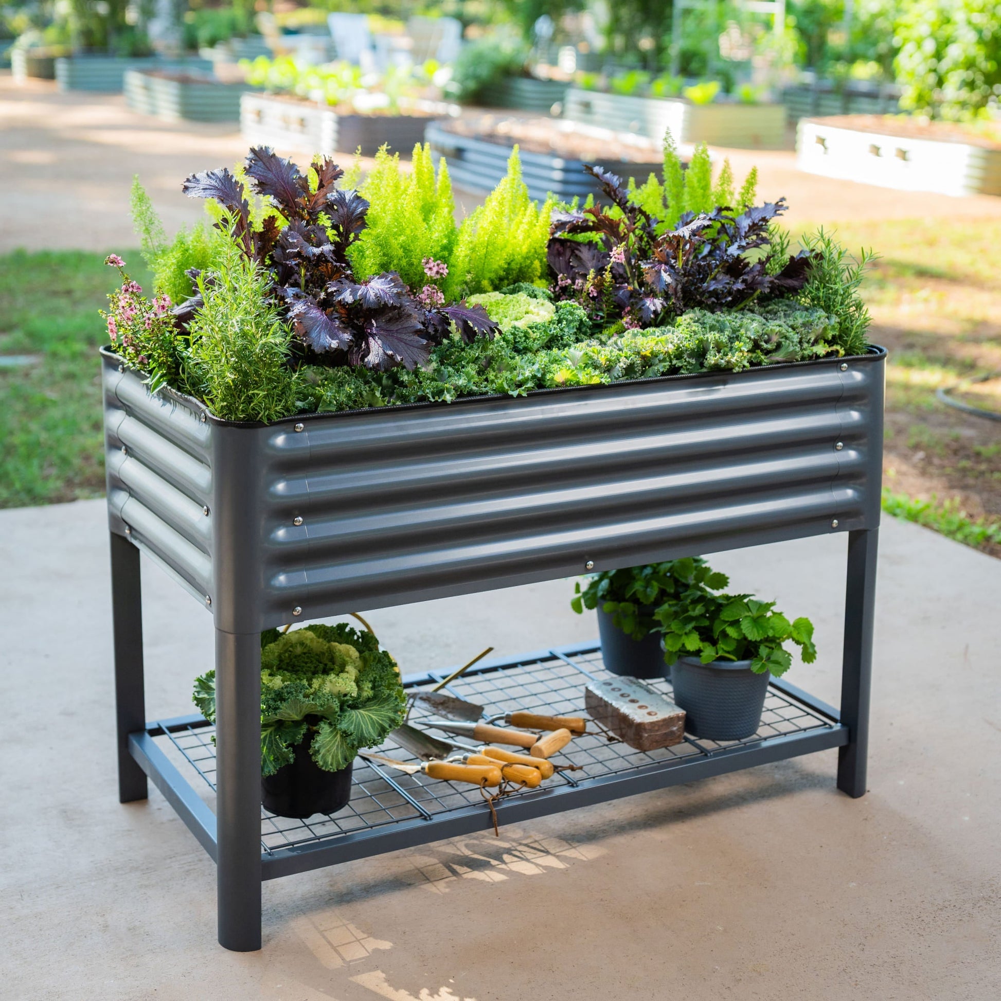 Long wooden raised garden bed planter with rich stain, filled with green herbs and vegetables along a patio