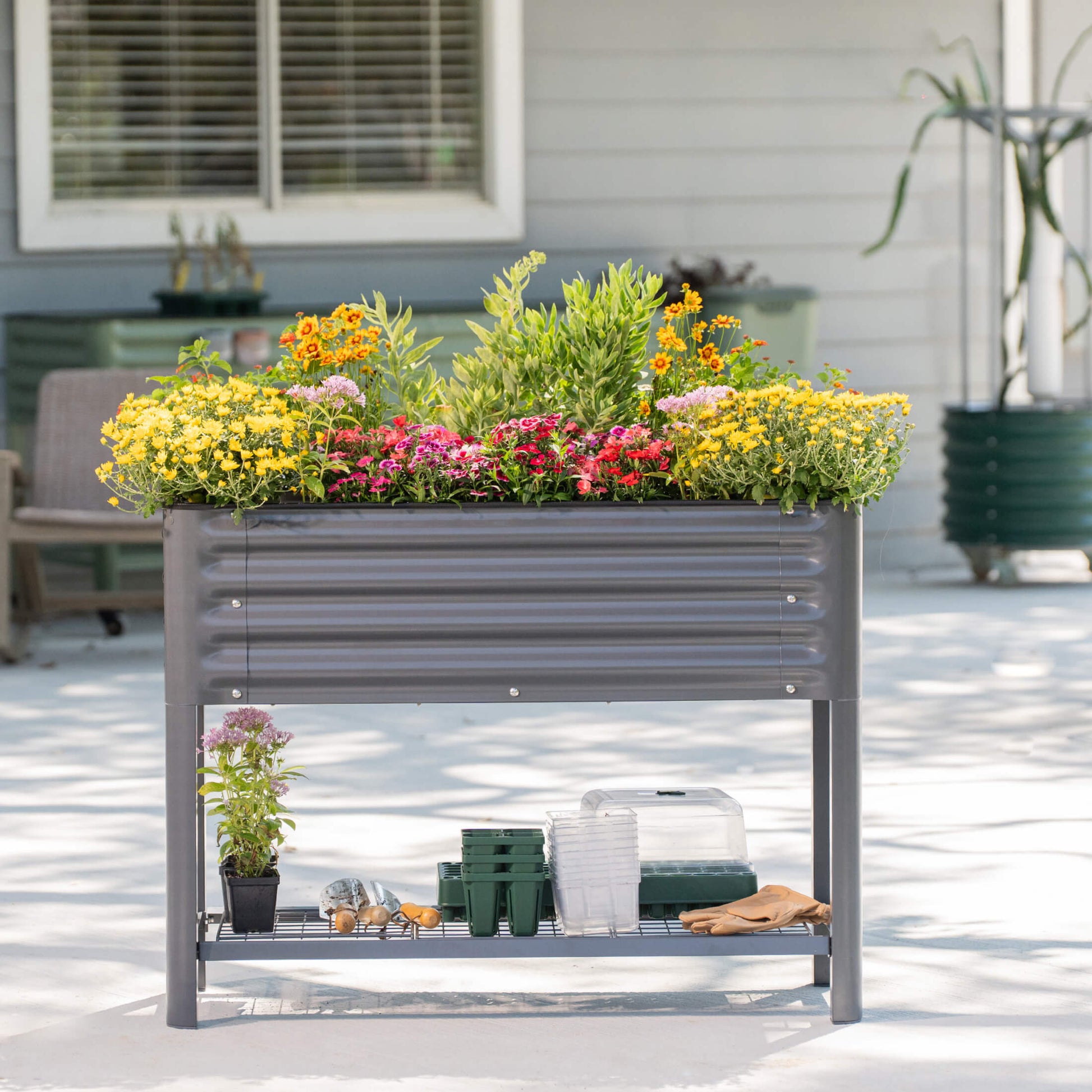 Slim elevated wooden garden bed with soil and leafy green seedlings on a patio