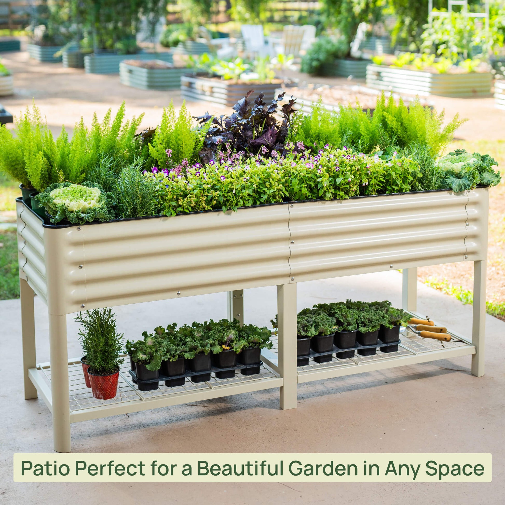Long 2x6-foot raised garden bed planter with dark wooden panels and metal corner brackets filled with soil