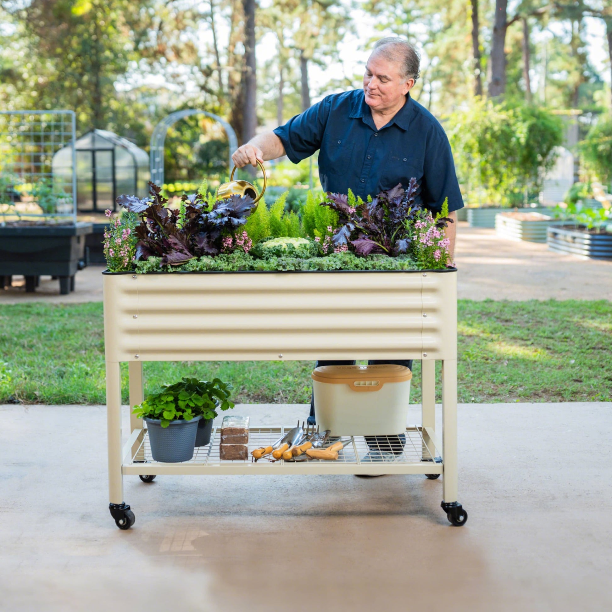 Elevated wooden garden bed planter 2x6 ft with soil and young vegetable seedlings