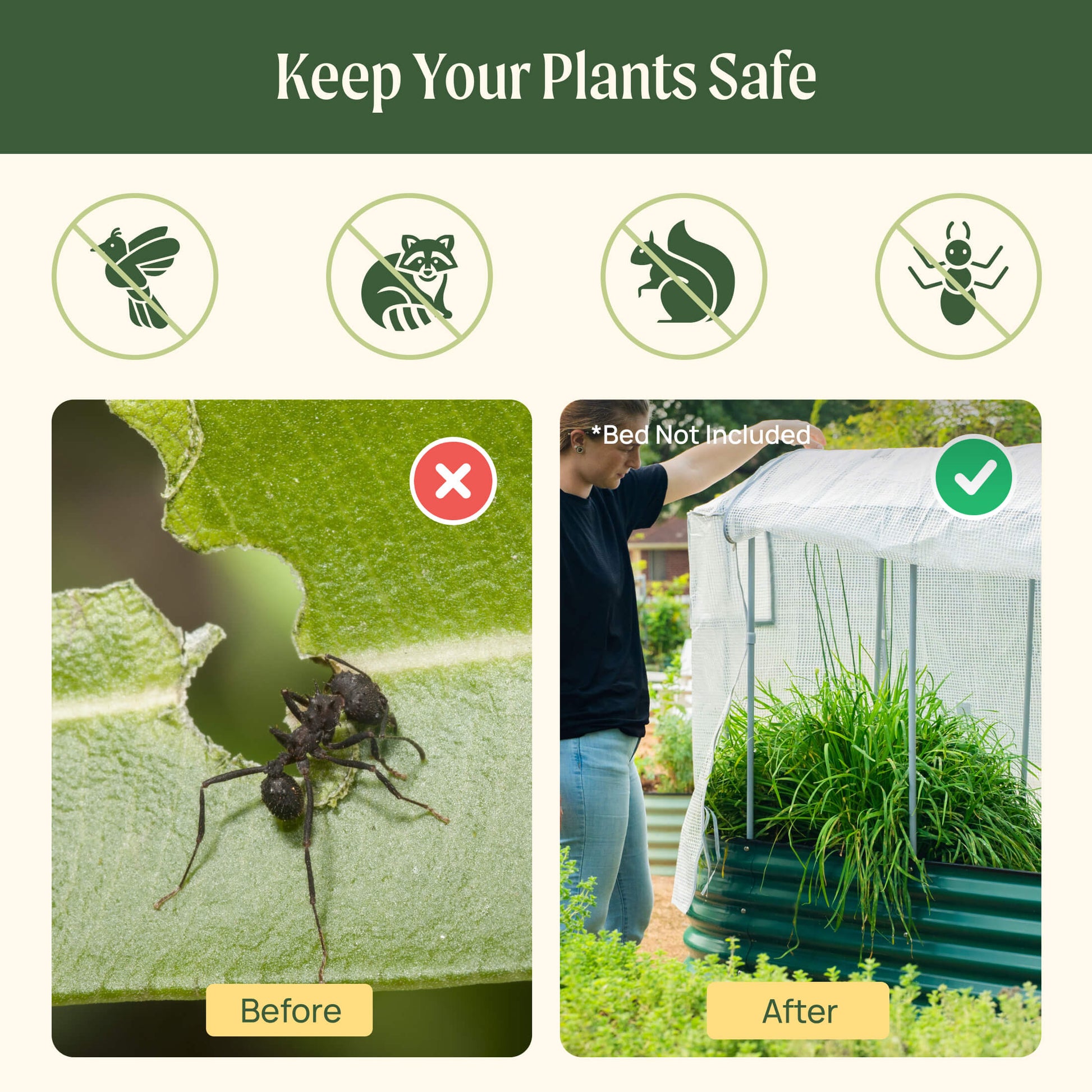 Heavy-duty frost protection cover with built-in trellis supporting climbing plants and insulating fabric