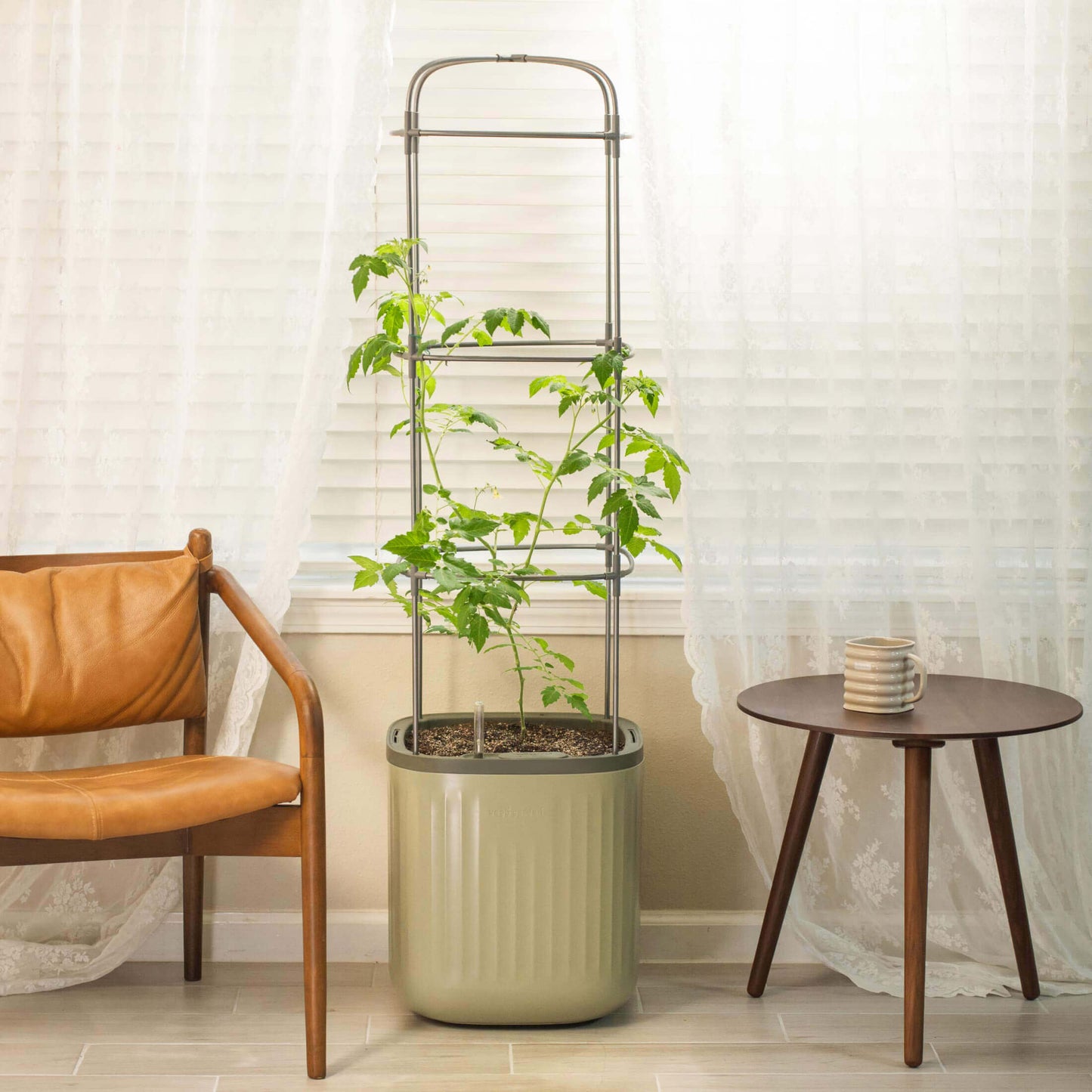 Compact self-watering planter with tall trellis supporting ripe red tomatoes and lush green foliage