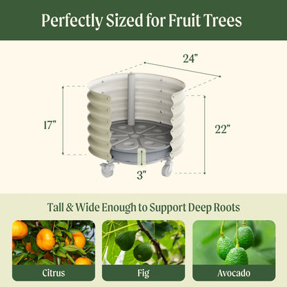 Large 30-gallon self-watering rolling planter with citrus tree and integrated wheels for easy repositioning