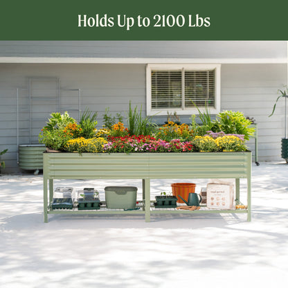 Raised wooden garden bed 3x8 feet with rich soil and young vegetable seedlings in backyard setting