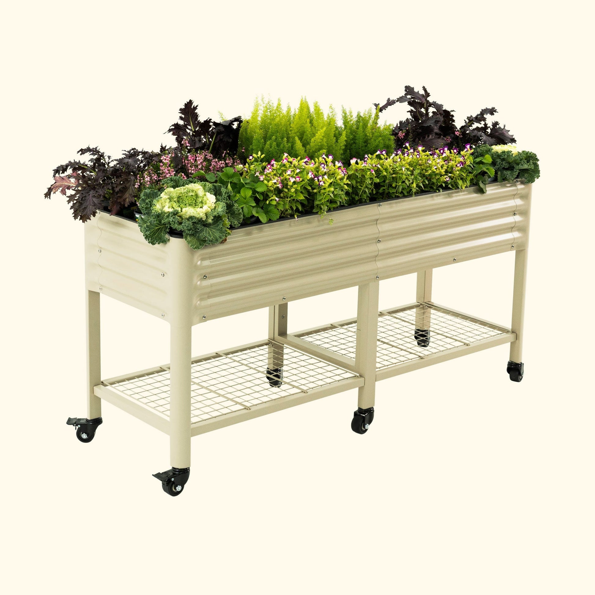 Two-foot by six-foot wooden raised garden bed planter on a patio filled with green herbs and vegetables