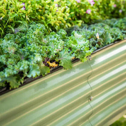 Long raised wooden garden bed with dark stain filled with lettuce and herbs on a sunny patio