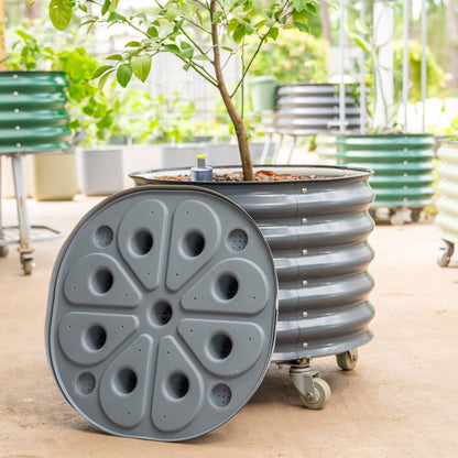 Large 30-gallon self-watering rolling planter with citrus tree and sturdy wheels for easy mobility