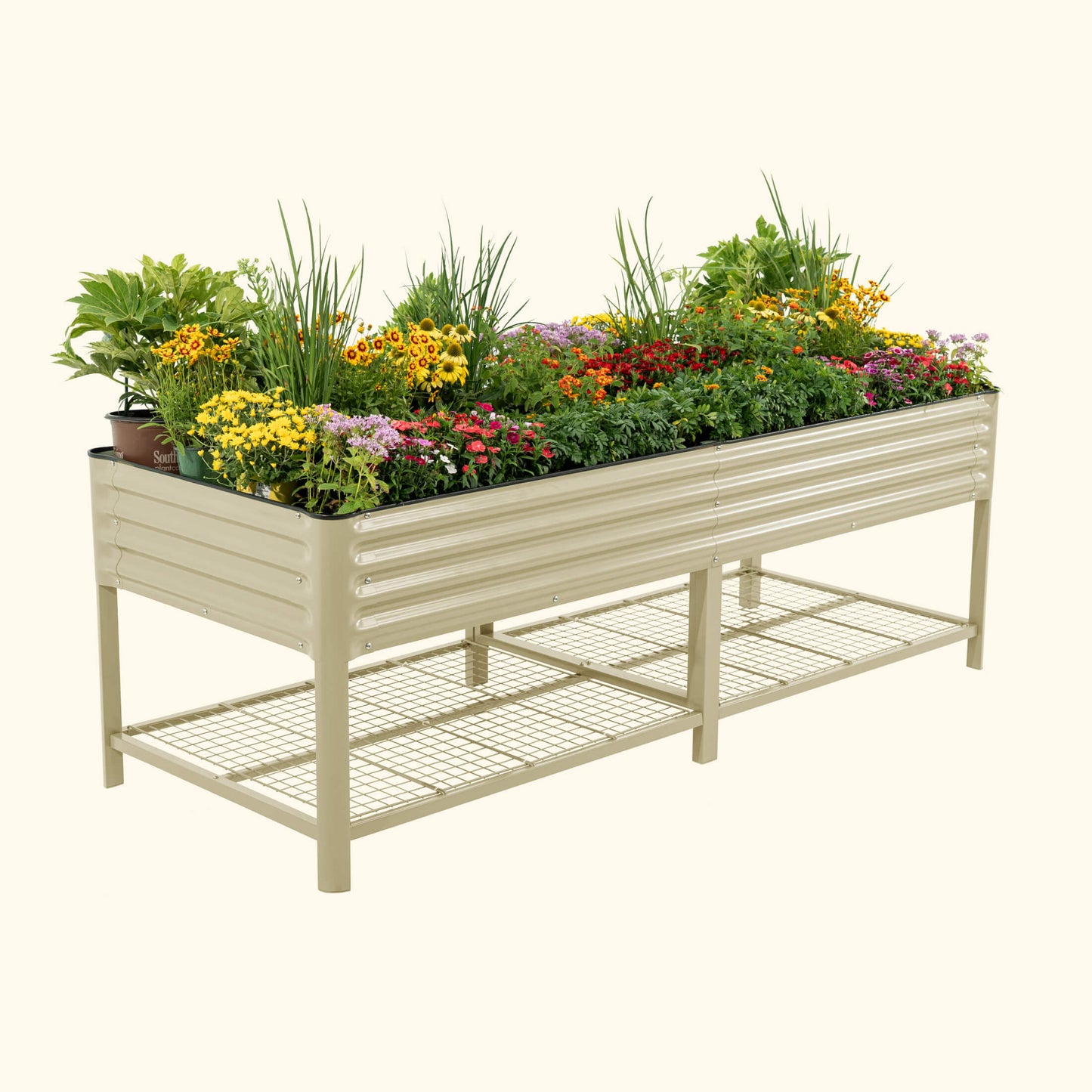 Large elevated wooden garden bed with soil and seedlings on a deck, 3' x 8' rectangular raised planter