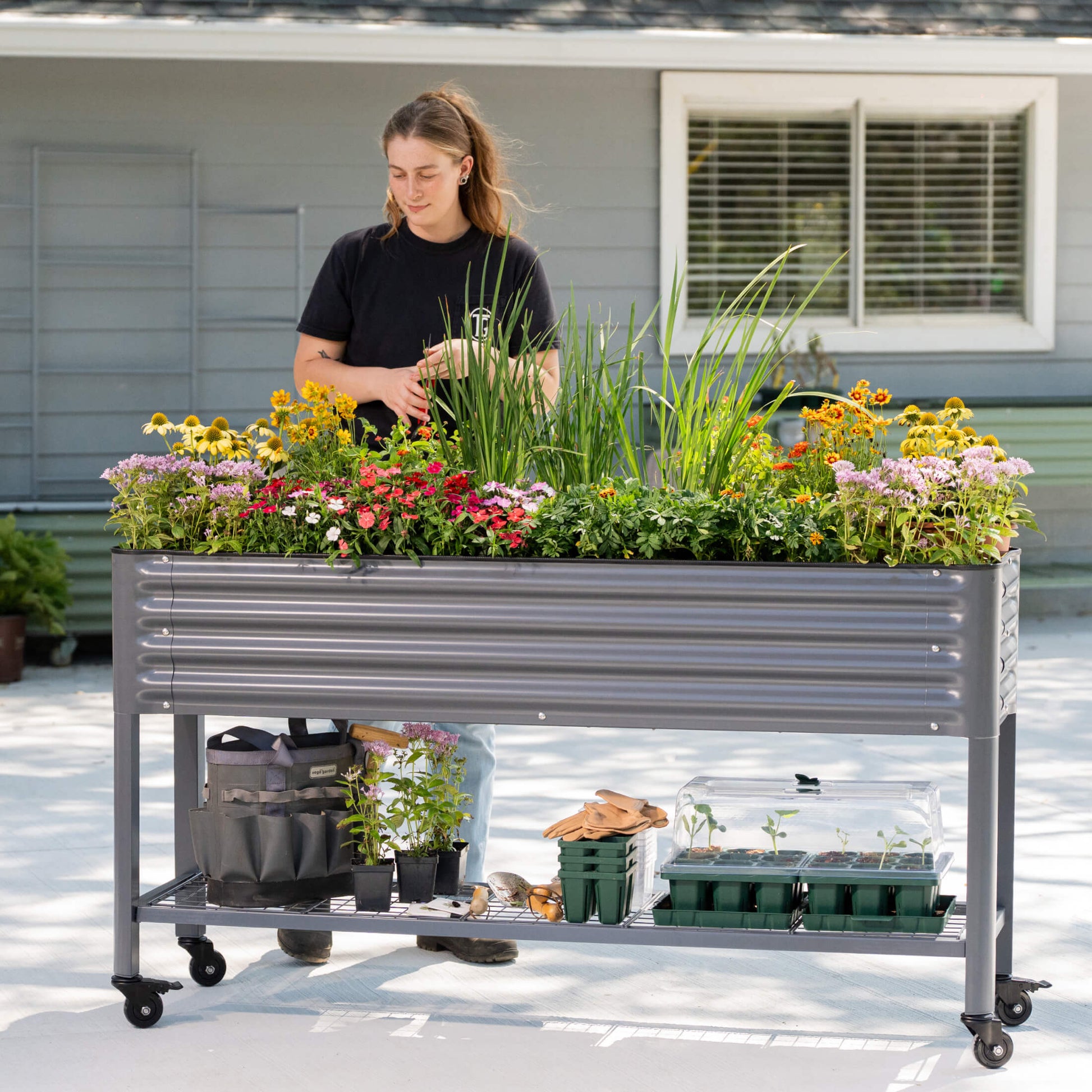 Slim elevated wooden garden bed with soil and young herbs, positioned on a patio against a fence
