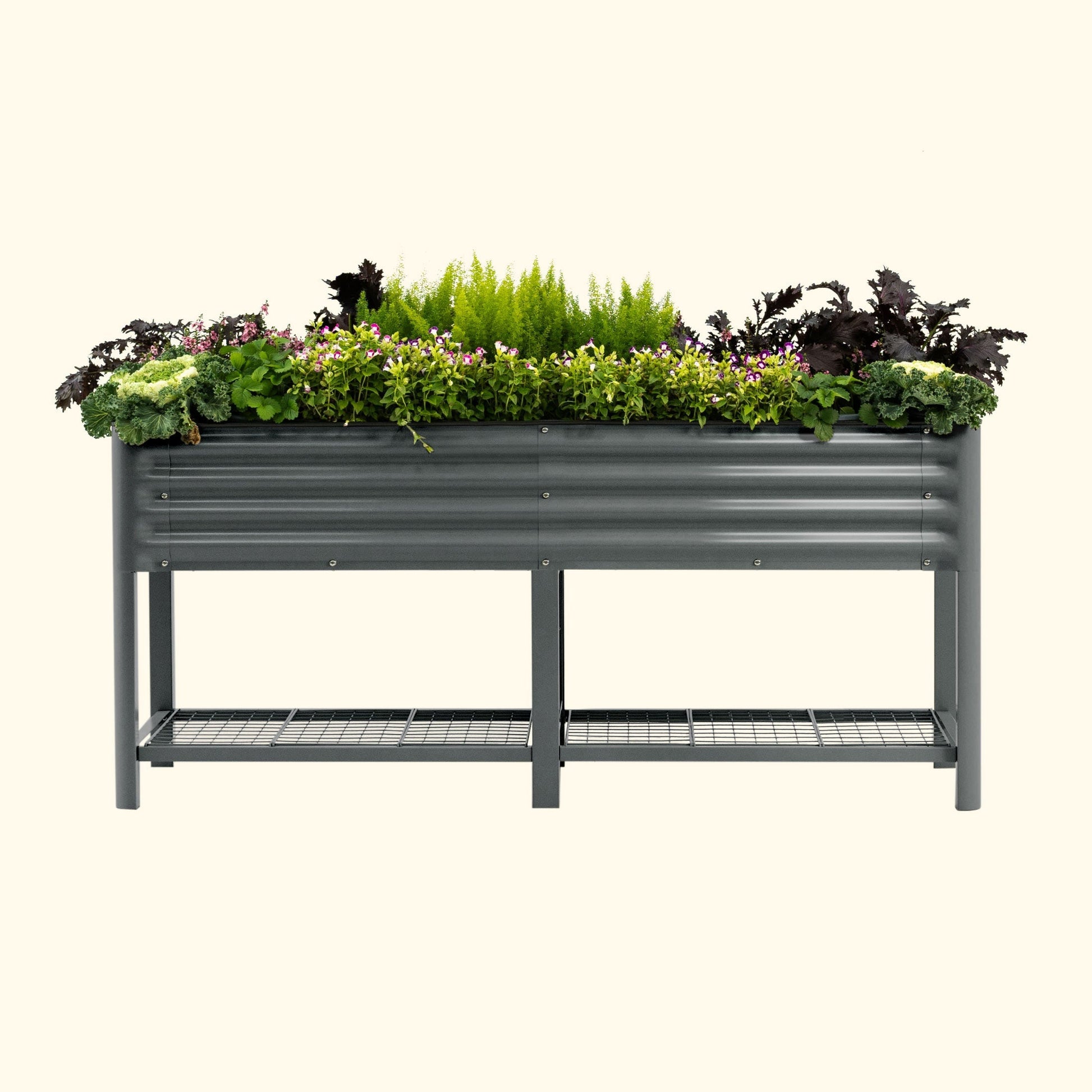Long raised wooden garden bed planter with dark soil and young vegetable seedlings along a backyard fence