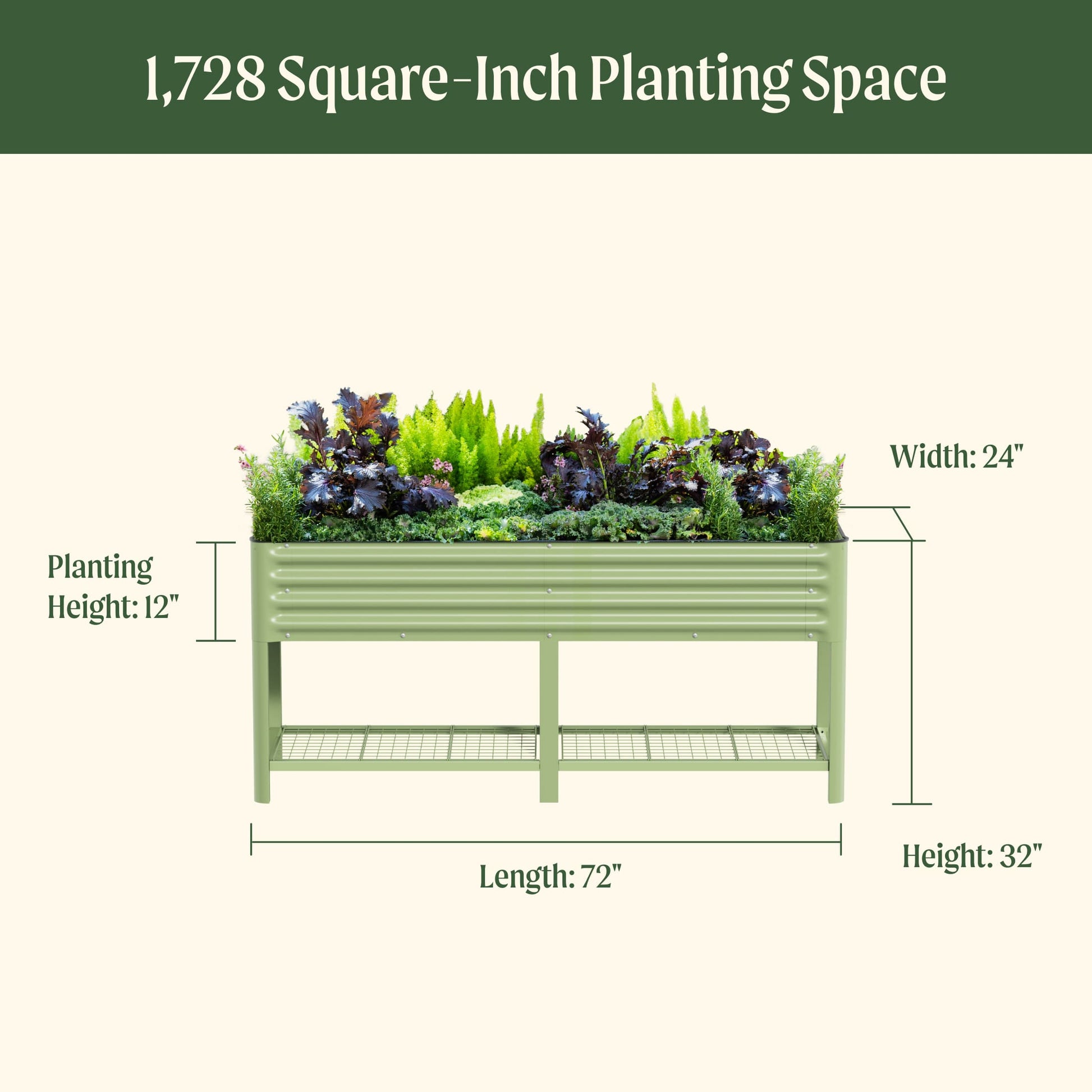 Elevated wooden garden bed planter 2 by 6 feet with soil and young vegetable seedlings
