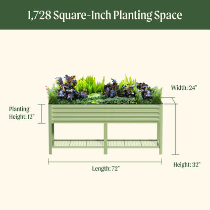 Elevated wooden garden bed planter 2 by 6 feet with soil and young vegetable seedlings