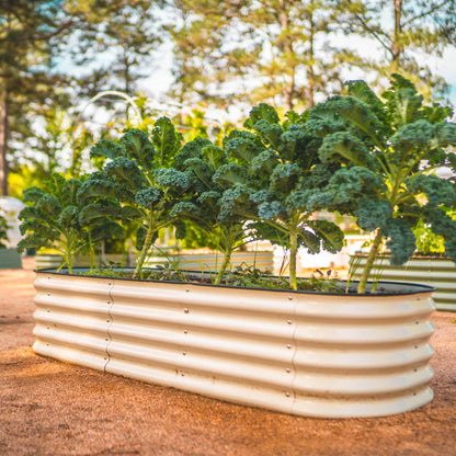 Six-piece modular 17-inch tall metal raised garden bed assembled in medium size with soil and young plants