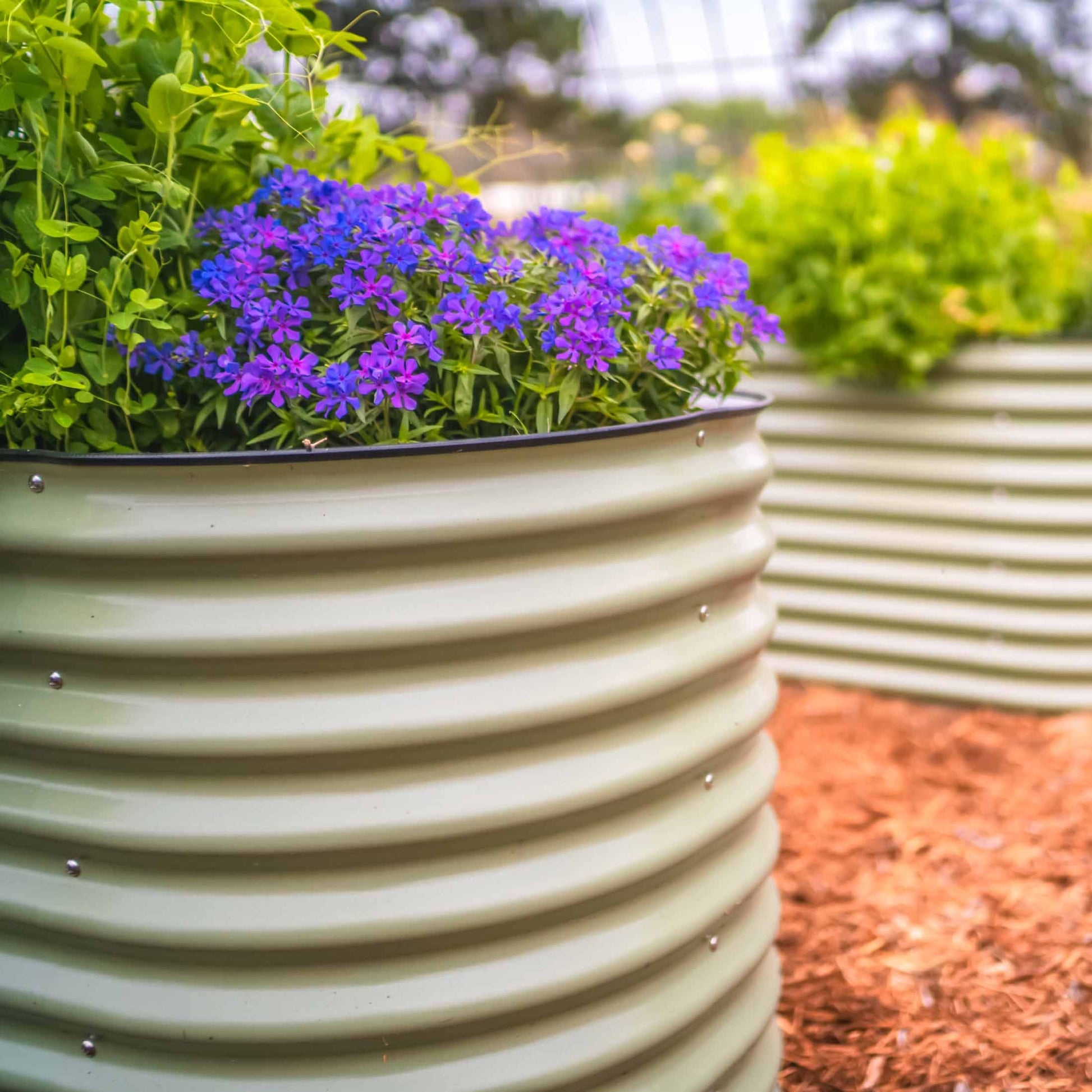 Extra-tall modular metal raised garden bed assembled in a backyard with blooming vegetables and herbs