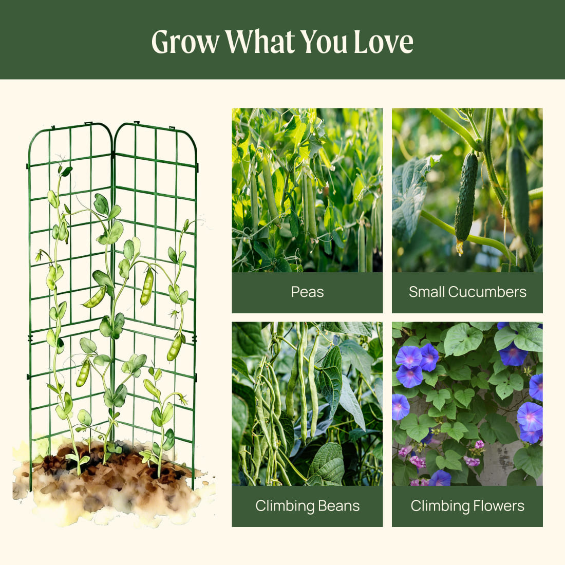 Two wooden A-frame garden trellises with lattice panels set in a sunny vegetable garden