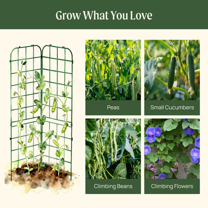 Two wooden A-frame garden trellises with lattice panels set in a sunny vegetable garden
