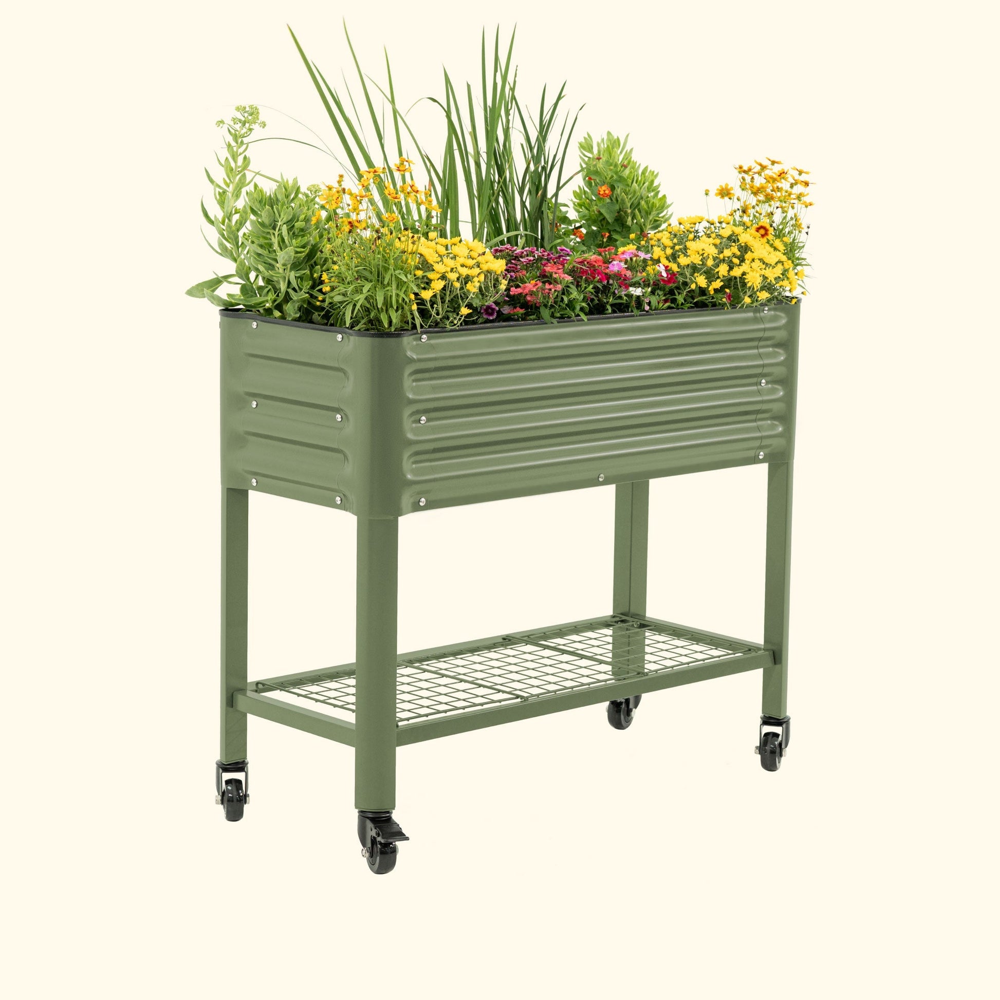 Slim elevated wooden garden bed with soil and seedlings, 1.5 by 3.5 feet, standing on legs in a backyard