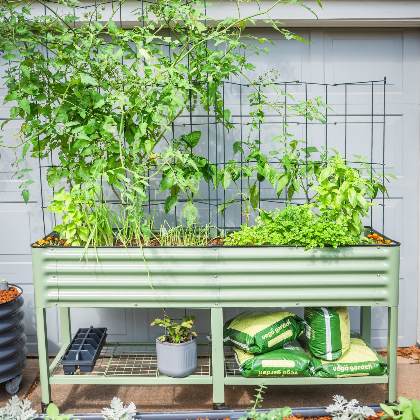 Six-tier metal tomato support tower set of three, tall conical cages for climbing plants in garden
