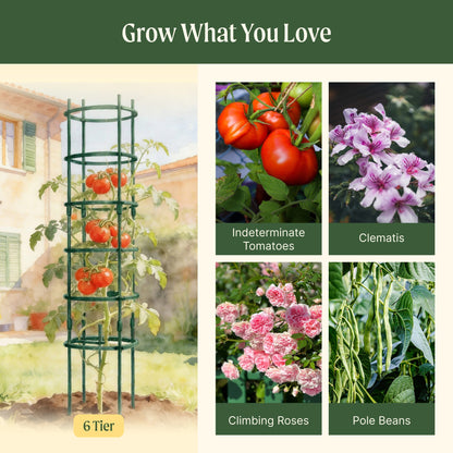 Six-tier metal tomato support tower set of three for vertical garden staking and vine training