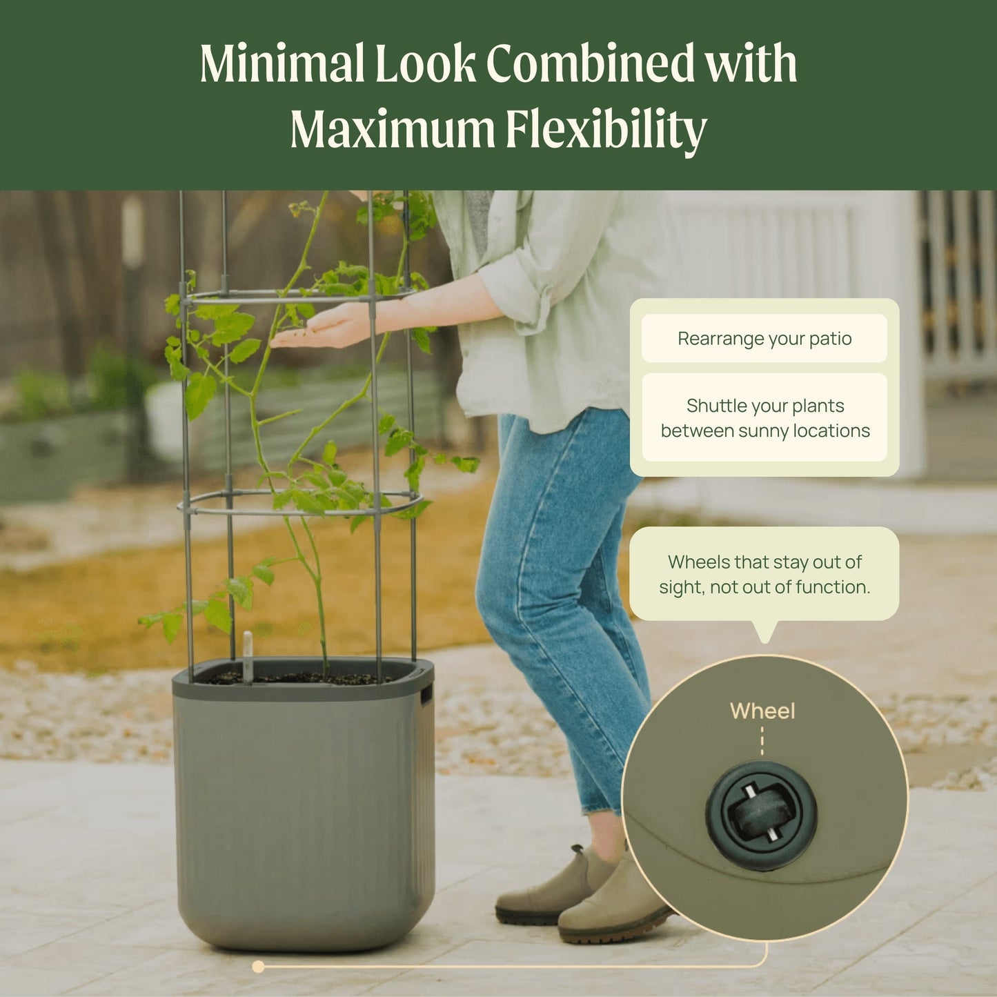 Self-watering tomato planter with tall metal trellis and lush tomato vines producing ripe red fruit