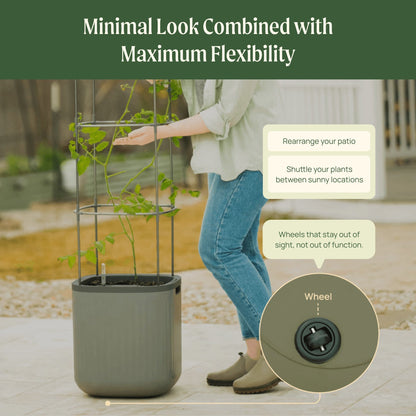 Self-watering tomato planter with tall metal trellis and lush tomato vines producing ripe red fruit