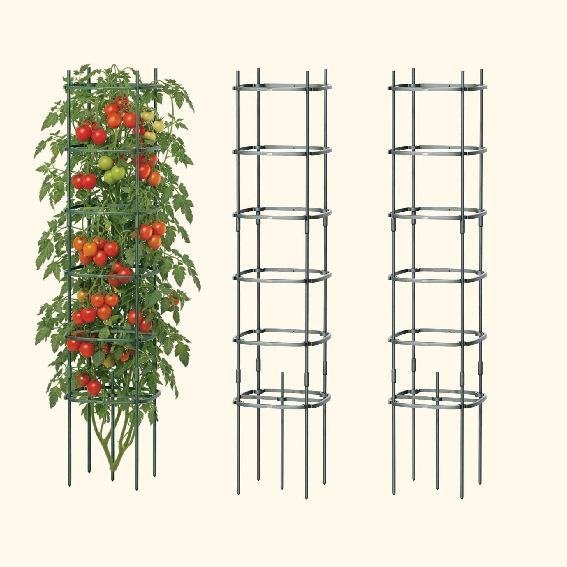Three 6-tier tomato support towers arranged in a garden bed holding staking rings for climbing plants