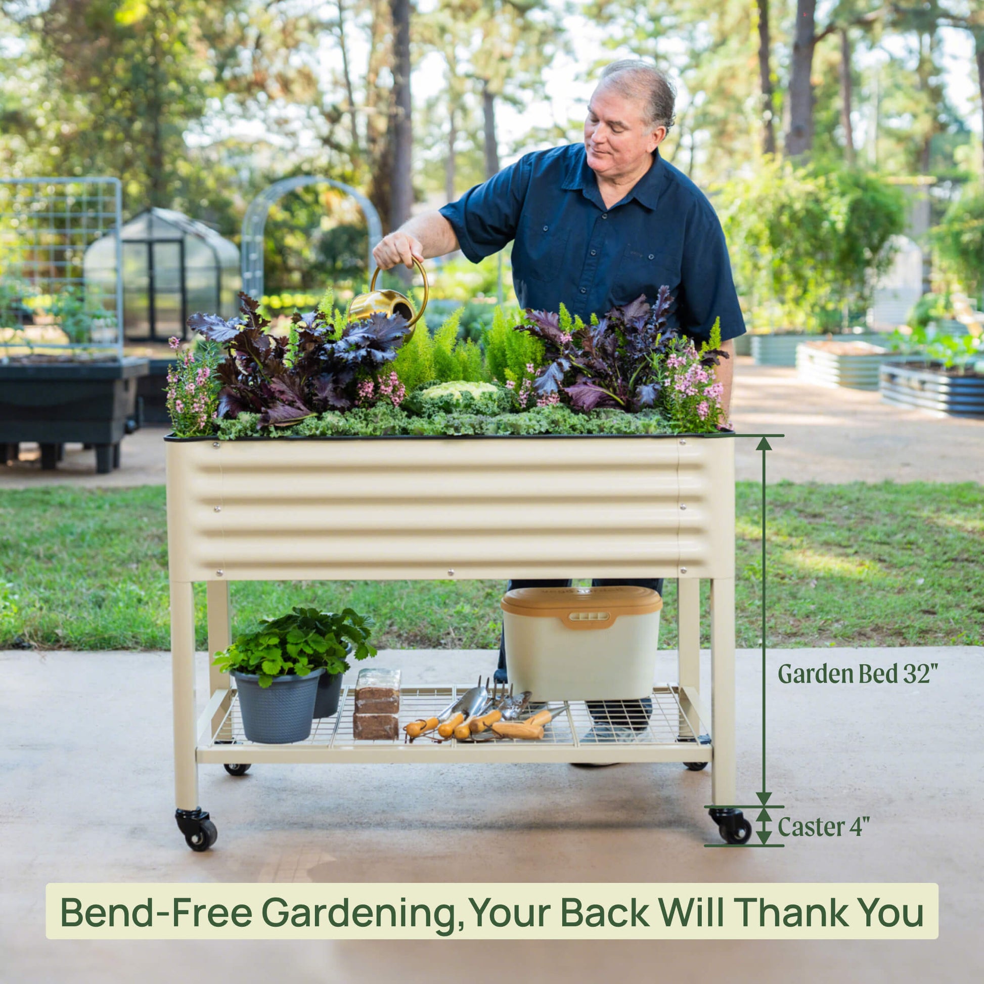 Two-foot by six-foot elevated wooden garden bed filled with leafy greens and herbs on a sunny patio