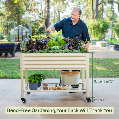 Two-foot by six-foot elevated wooden garden bed filled with leafy greens and herbs on a sunny patio