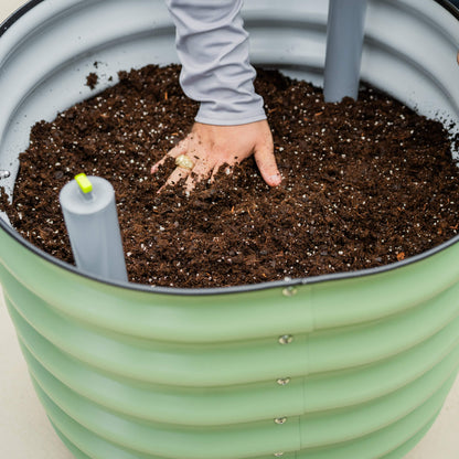 Tall rolling self-watering citrus tree planter with built-in reservoir and caster wheels for easy mobility